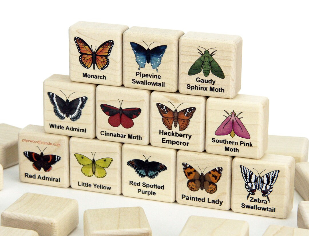 Butterflies & Moths Memory Game 24 Blocks | Solid Maple Wood Matching Game for Kids North America... | Etsy (US)
