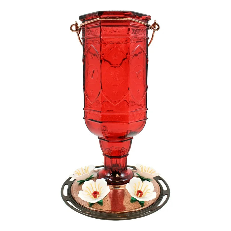 More Birds Red Jewel Glass Bottle Hummingbird Feeder, 20 oz Nectar Capacity | Walmart (US)