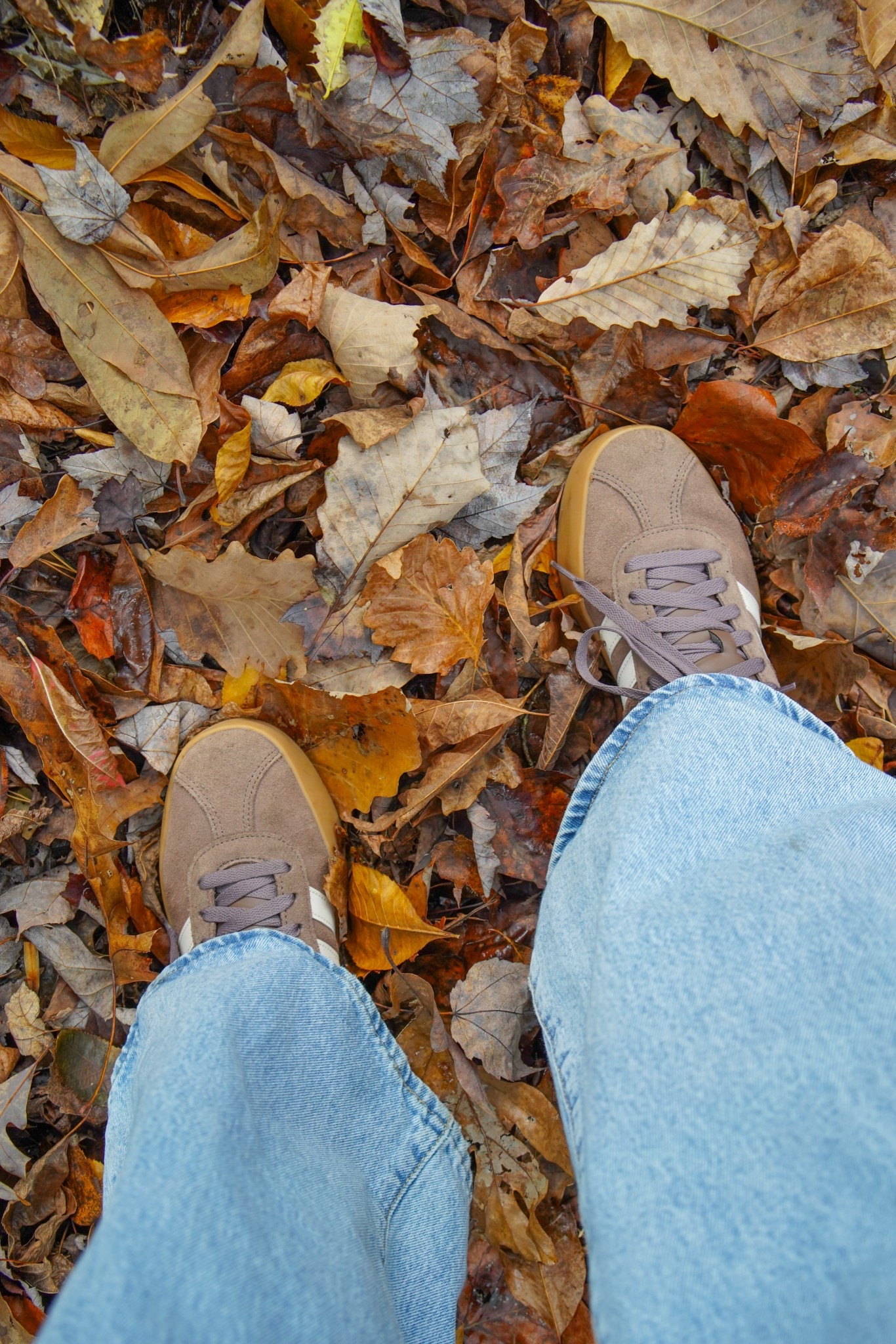 More comfy than a loafer boot everyone needs these brown shoes for fall!!! 

#LTKFindsUnder100 #LTKCyberWeek #LTKHoliday