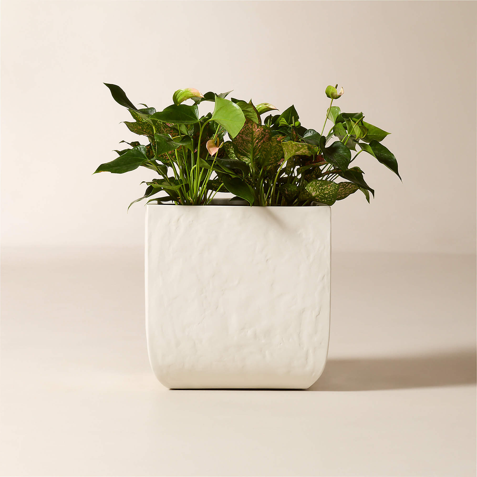 Leyla Ivory Faux Plaster Indoor/Outdoor Medium Planter 16"H | CB2 | CB2