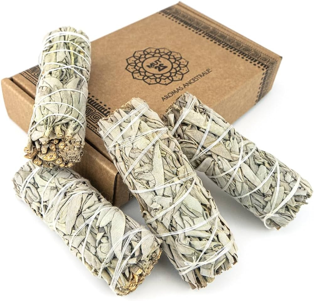 MUT22 4 Salvia Bianca Sacra da Bruciare - Erba di Purificazione e Armonia, Salvia Apiana 100% Nat... | Amazon (IT)