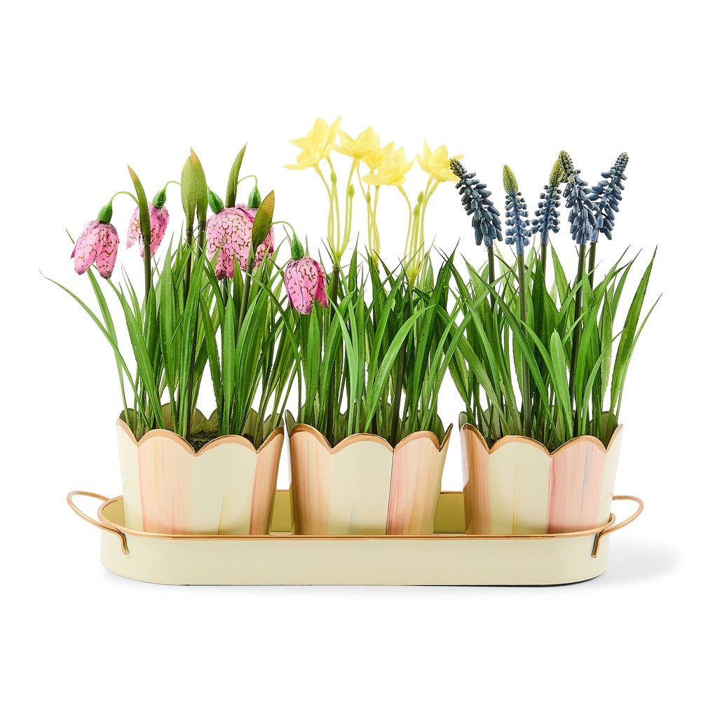 Rosy Stripe Triple Potted Blooms | MacKenzie-Childs