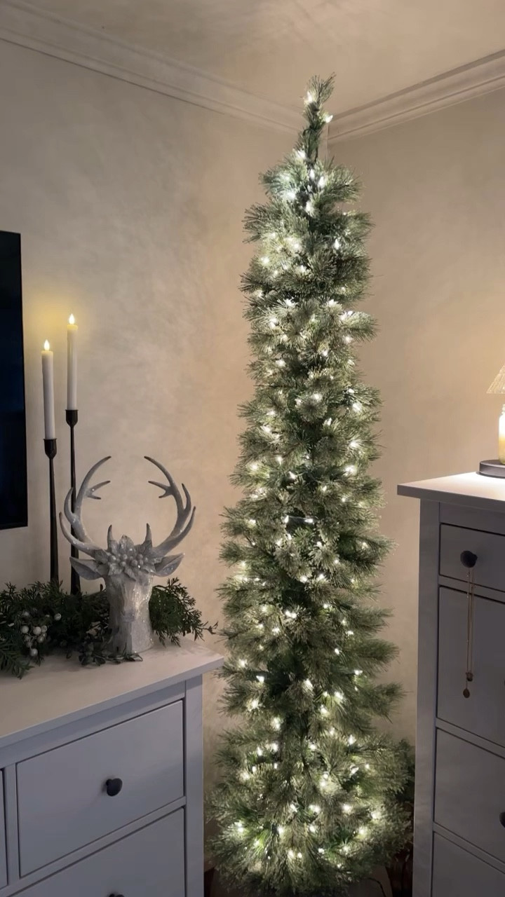 The best pencil trees!

#LTKSeasonal #LTKhome #LTKHoliday