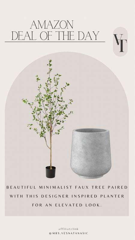 Amazon home find! My favorite minimalist tree paired with this designer inspired planter for an elevated look! 

#LTKsalealert #LTKhome