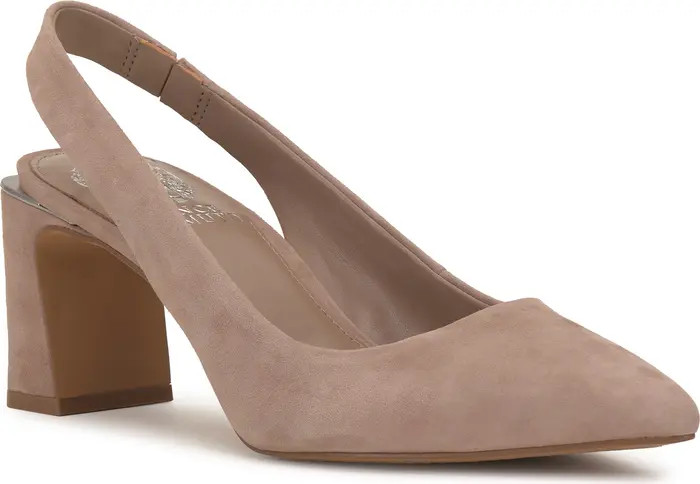 Hamden Pointed Toe Slingback Pump (Women) | Nordstrom