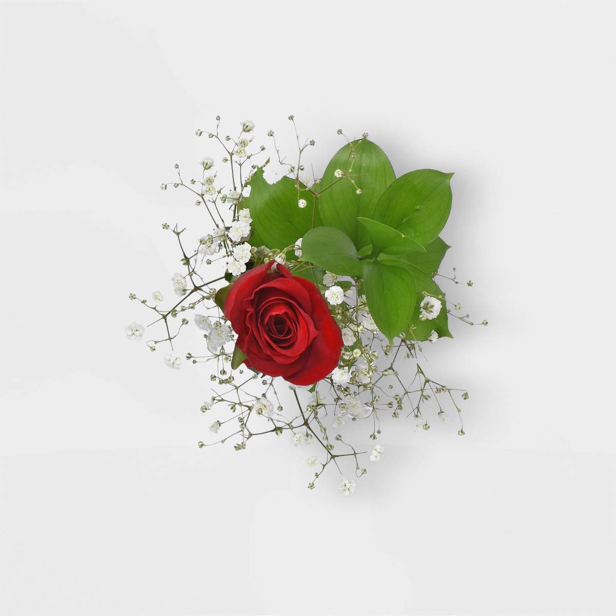 Fresh Cut Single Stem Valentine's Day Rose Bouquet - Good Little Garden™ | Target
