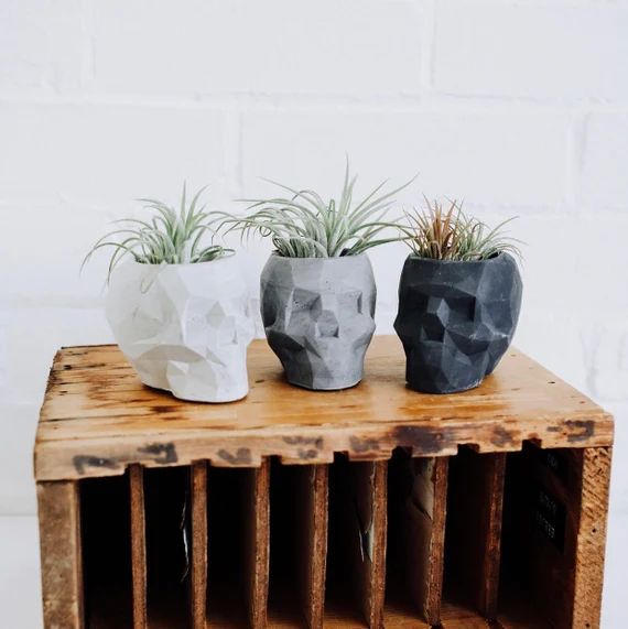 Geometric Concrete Skull Planter | handmade planter | skull air plant holder | Etsy (US)