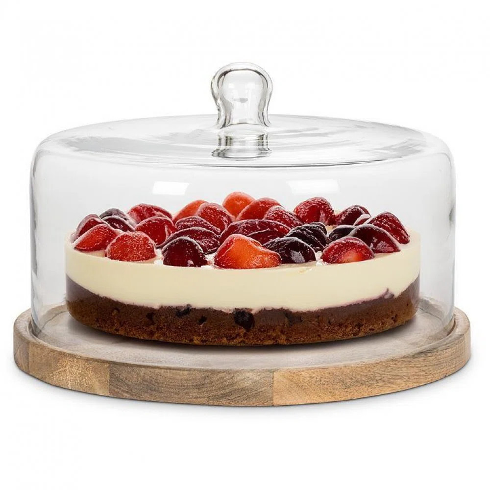 Large Covered Cheese/Cake Cake Tray | Wayfair North America