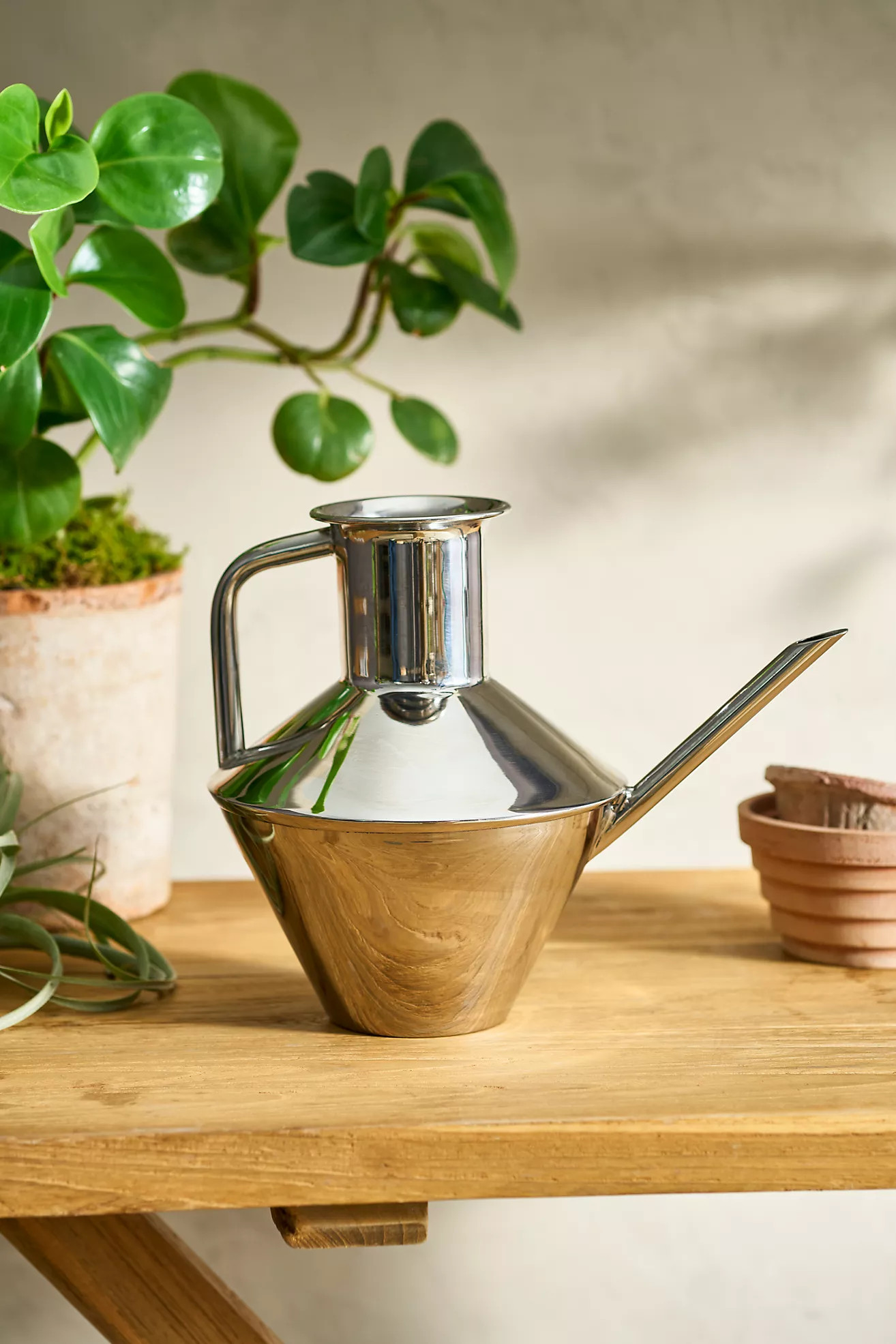 Angular Stainless Steel Watering Can | Anthropologie (US)