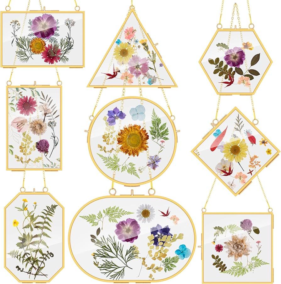 Reginary 9 Pcs Pressed Flowers Glass Frames Double Glass Hanging Floating Frames Gold DIY Brass A... | Amazon (US)