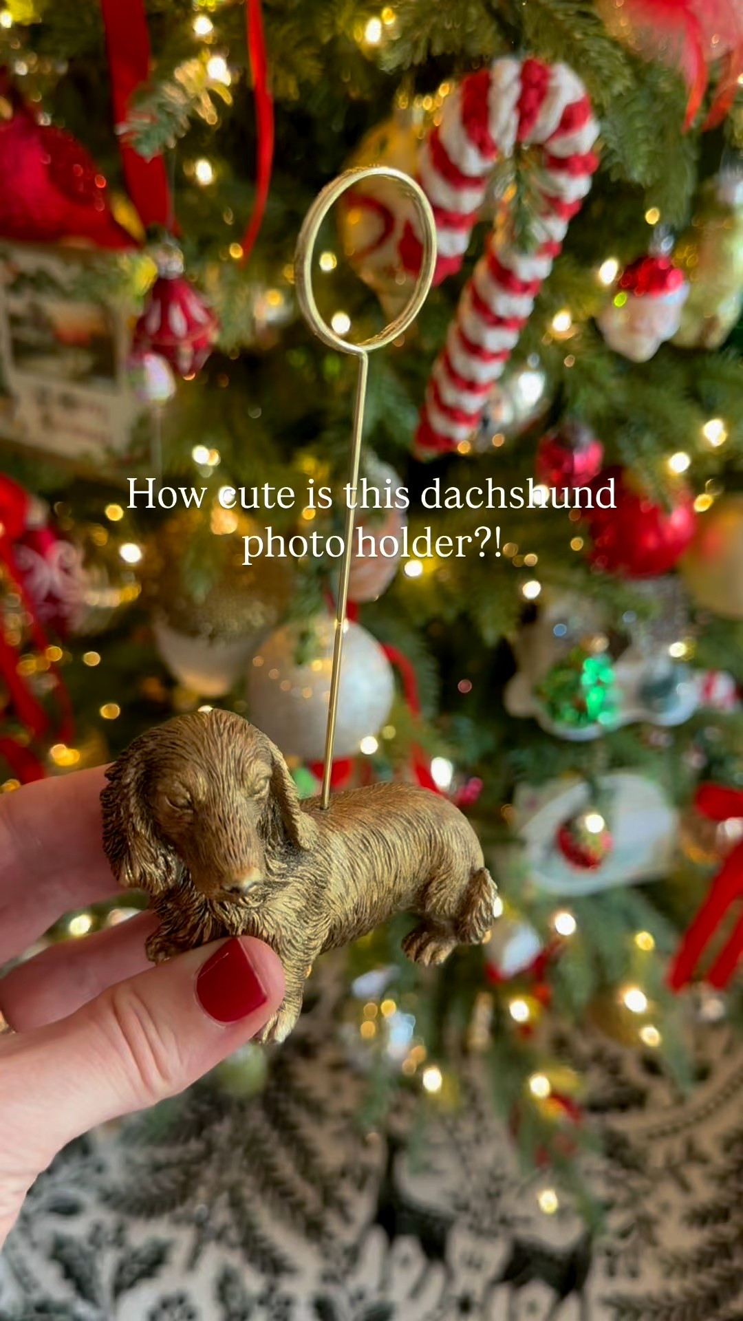 My family knows how much I love dachshunds.

#LTKHome #LTKFindsUnder50