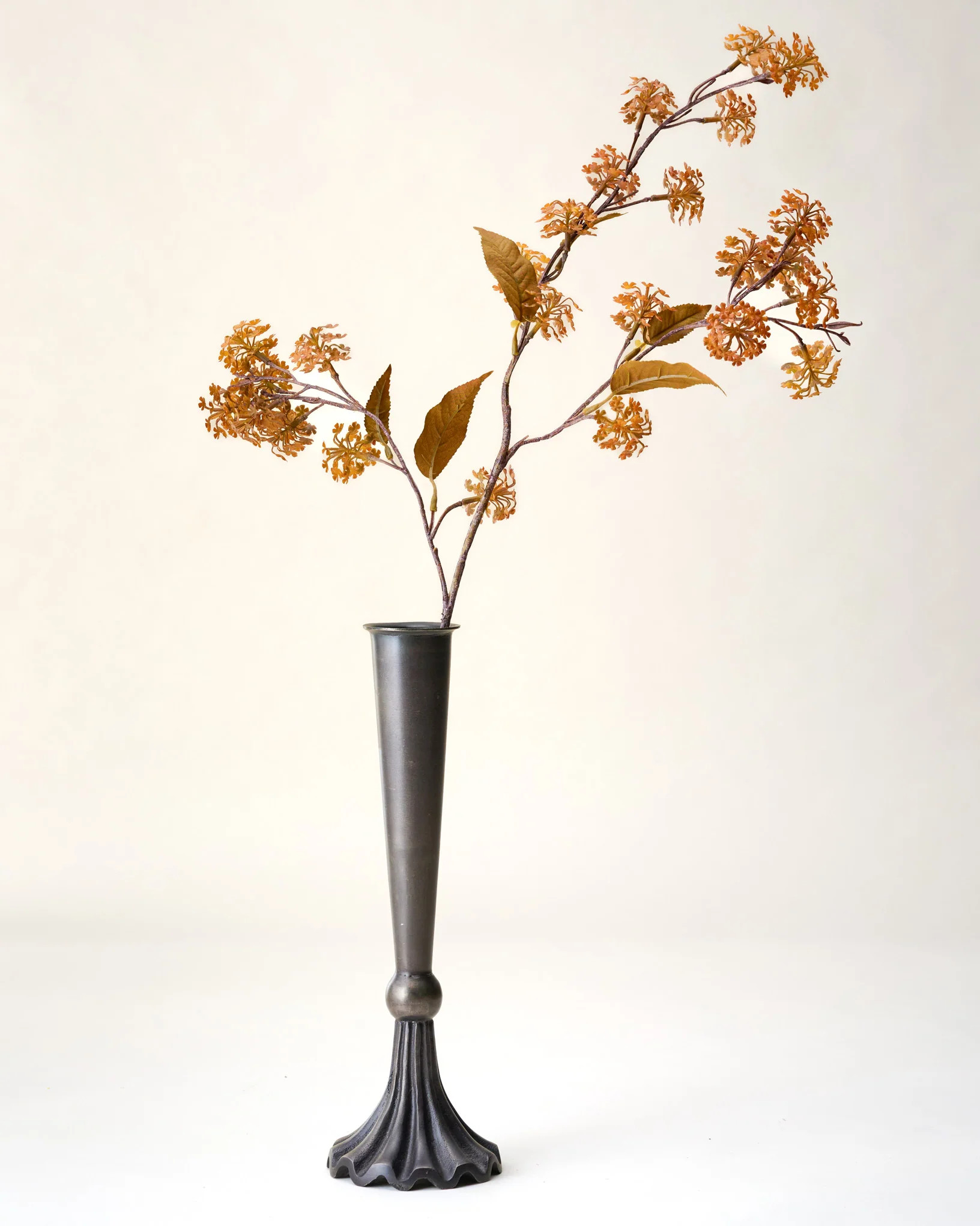 Elderberry Stem | Magnolia