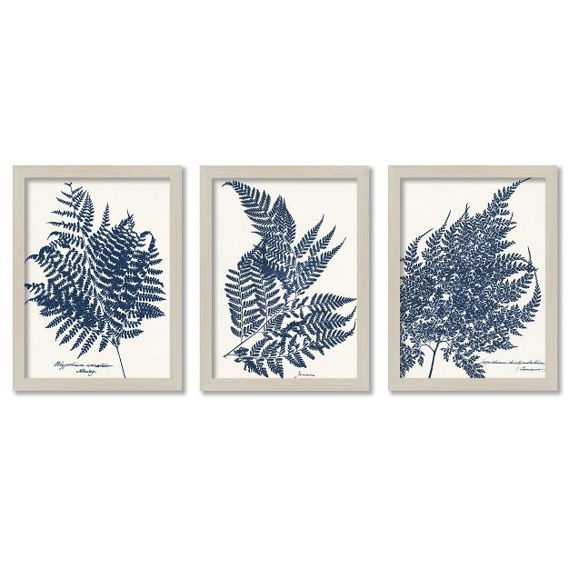 Blue Fern by chaos & Wonder Design - 3 Piece Gallery Framed Print Art Set | Target