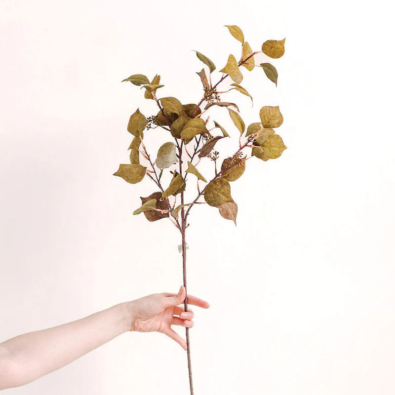 Olive Cork Leaf Stem | Purple Rose Home