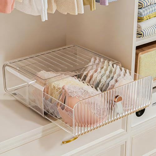 Neprock Underwear Drawer Organizer - Stackable Bra Organizer for Closet, 1 Cell Clear Acrylic Bra Storage Box, Closet Organizers and Storage for Lingerie, Undergarment, Baby Clothes, Scarf | Amazon (US)