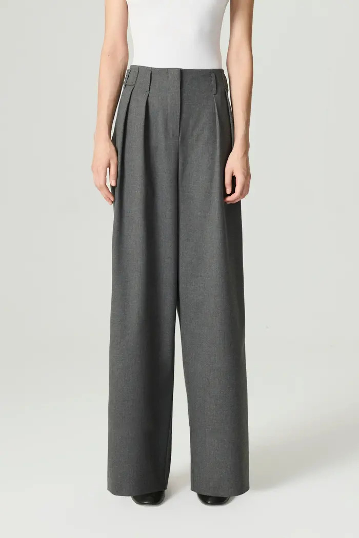 High-Waist Pleated Wide-Leg Pants | Nordstrom