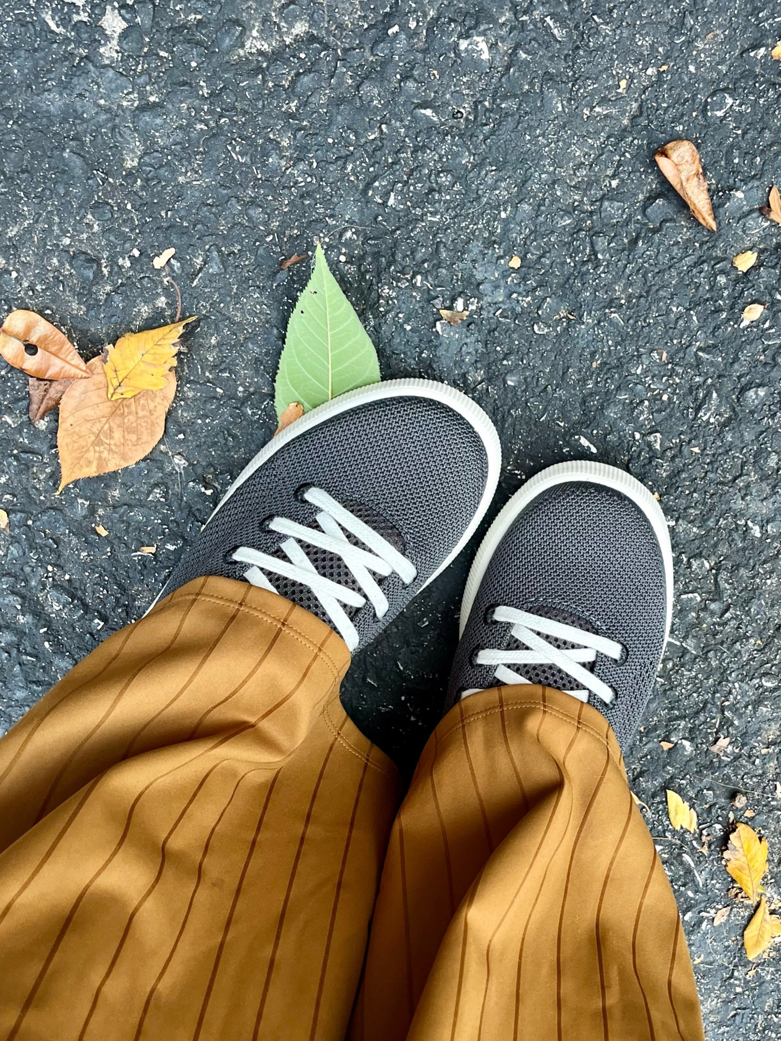 These Reef sneakers are the comfiest. Perfect for travel or pregnant mamas.

I sized up half size. 

#LTKTravel #LTKBump #LTKShoeCrush