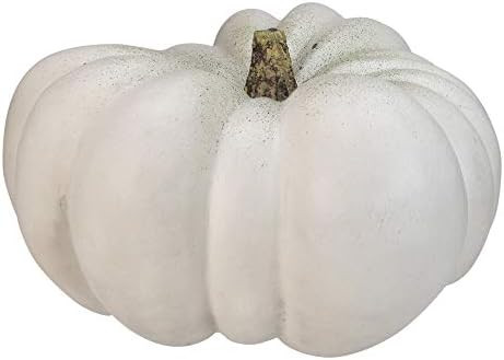 Northlight 14” White Flat Round Pumpkin Fall Harvest Table Top Decoration | Amazon (US)
