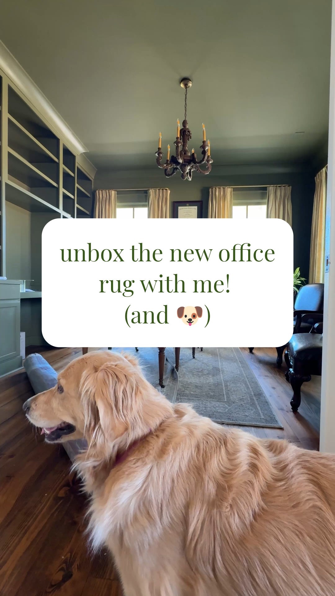 Unbox the new office rug with me! (and 🐶) 
You won't believe the price on this beautiful oriental style rug 

#LTKSaleAlert #LTKHome