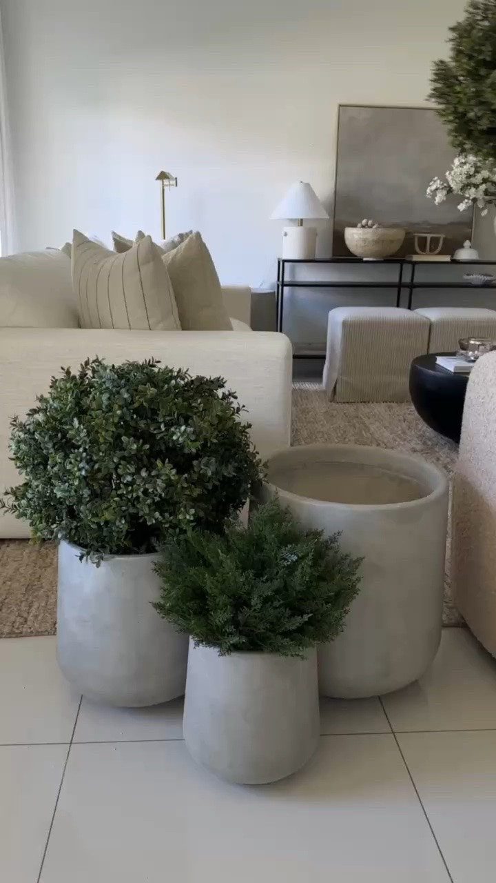 The viral concrete planters you've seen everywhere ✨ Shop them here!

#LTKhome #amazonfinds #viralfinds #concreteplanters #amazonhome #homedecor #ltkit

#LTKdayinmylife #LTKHome #LTKSaleAlert