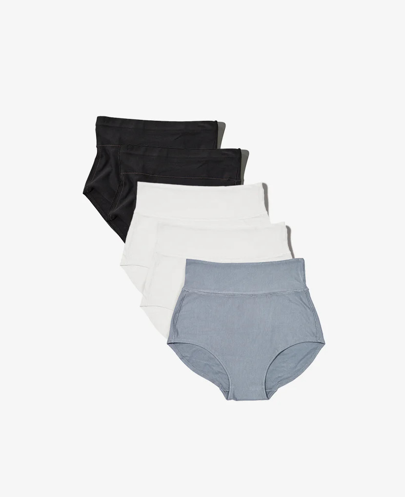 Bodily All-In Panty Multi Pack for Postpartum & C-Sections | Bodily