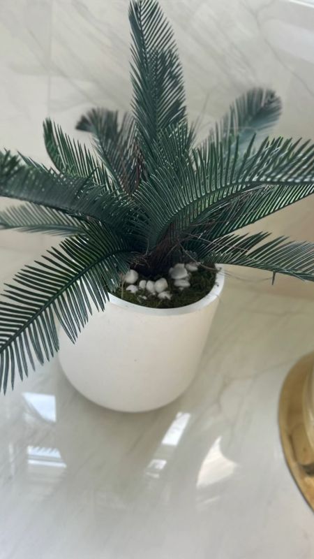 Faux plants hack to make them look real and amazing indoors. 

Home decor - interior design - artificial plants - bathroom decor

#LTKFind #LTKhome