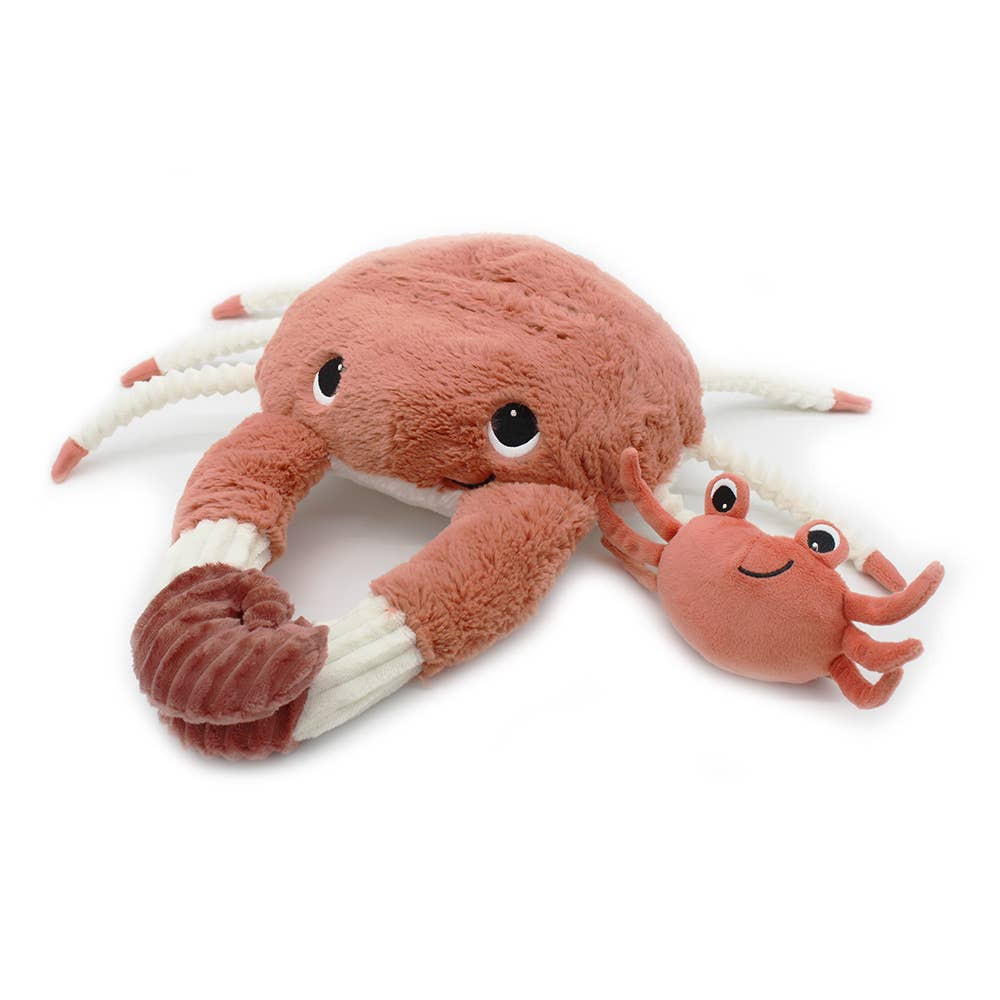 Crab and Baby | Rookie Humans
