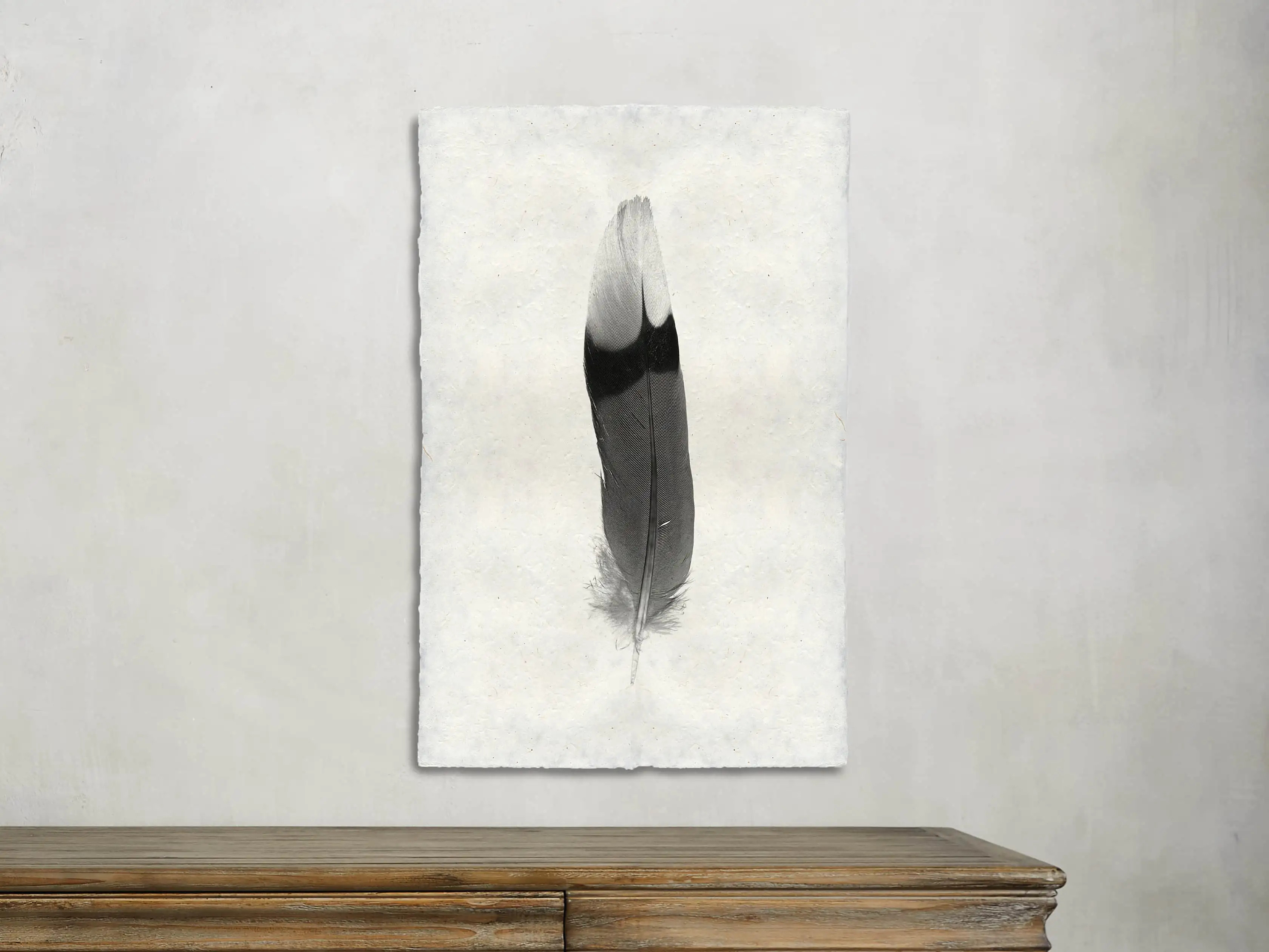 Feather Study Print IX | Arhaus