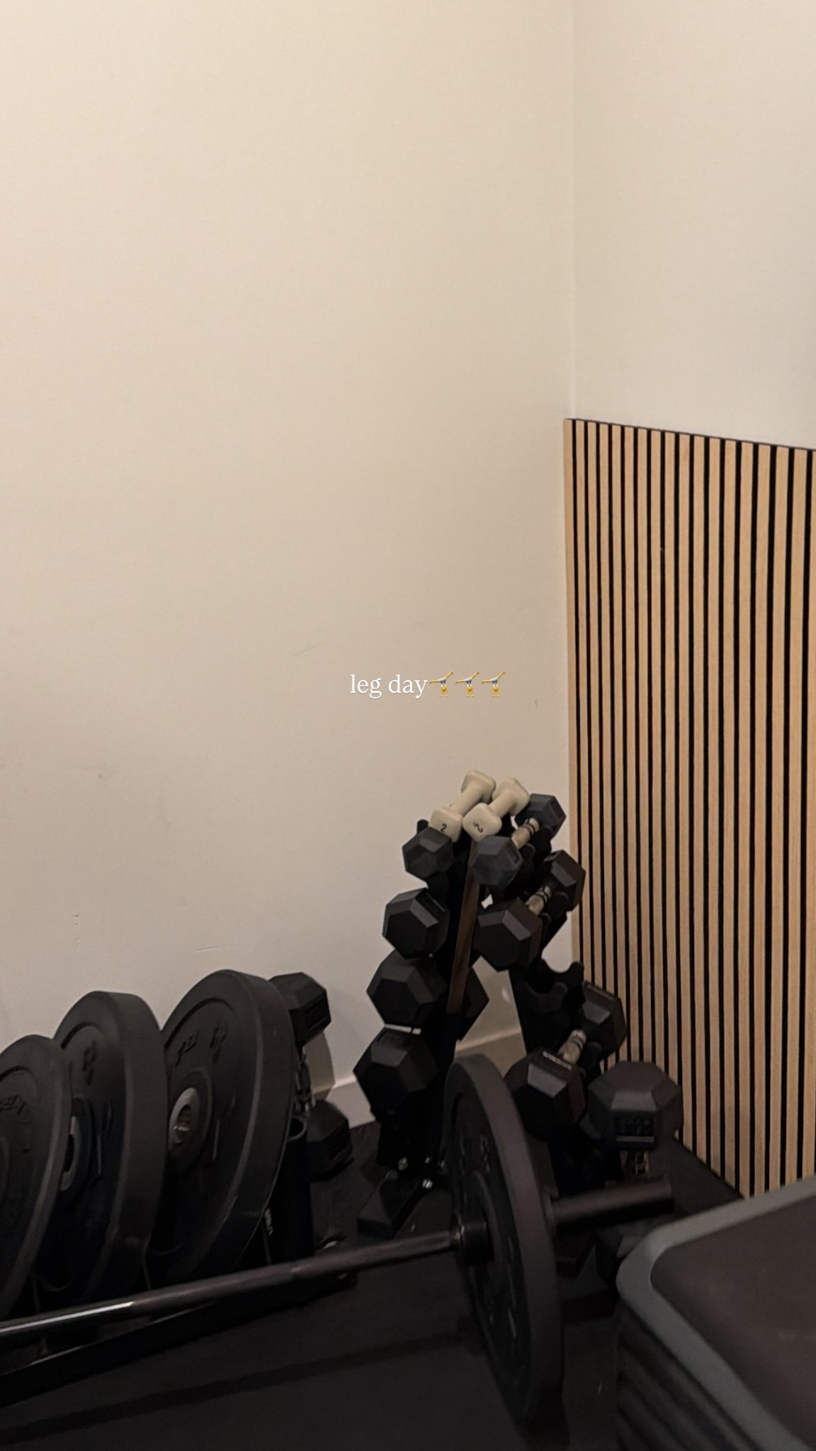 leg day🤸🤸🤸

#LTKfitnessgoals #LTKActive #LTKHome