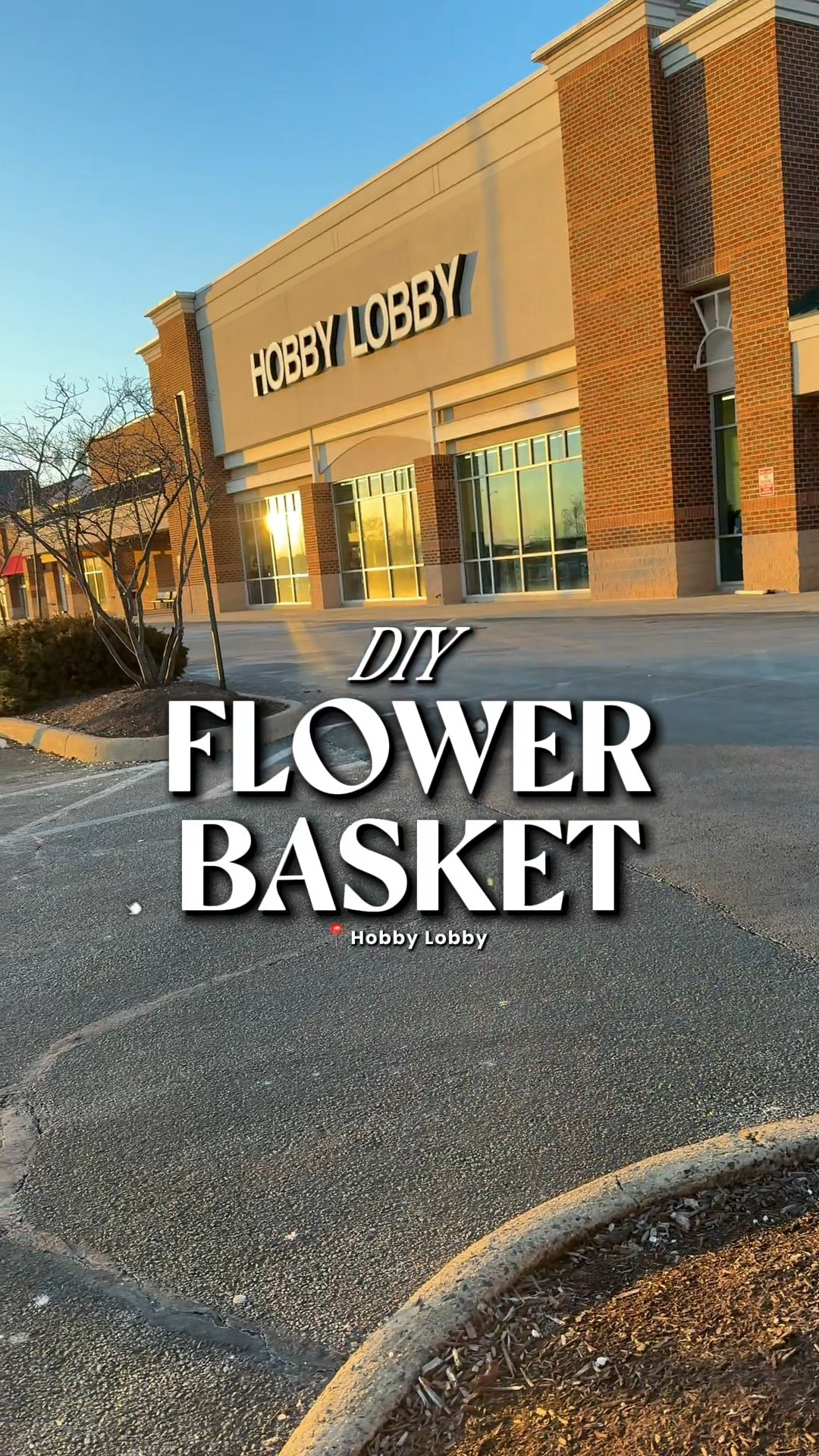 POV: You start a DIY project and your tiny assistant takes over 💐🐶

#diyprojects #hangingflowerbasket

#LTKstorytime #LTKHome #LTKSeasonal
