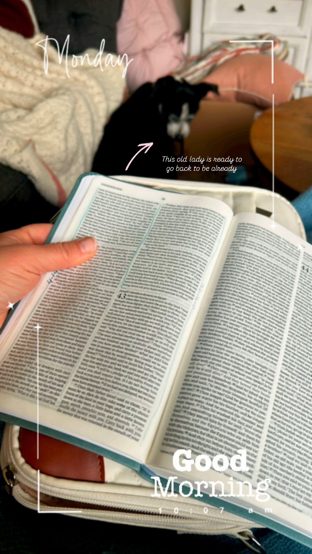 Morning Bible Study, This is my favorite Bible for travel

#LTKTravel #LTKHome #LTKFindsUnder50