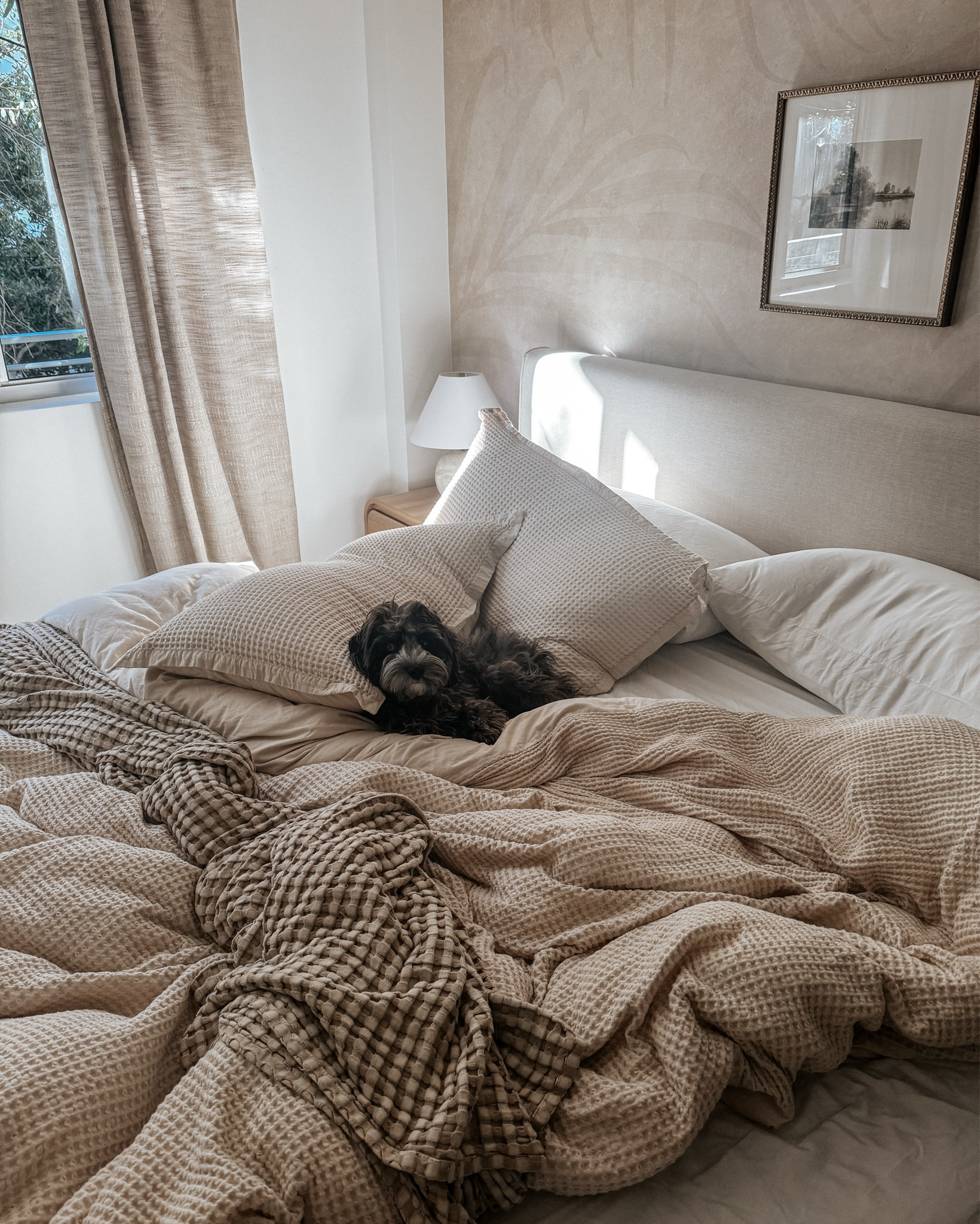 Cozy bedroom in the morning - Clay loves a hurkle durkle! Thank goodness 😅 

Neutral bedroom, bedding, neutral home 

#LTKStyleTip #LTKHome