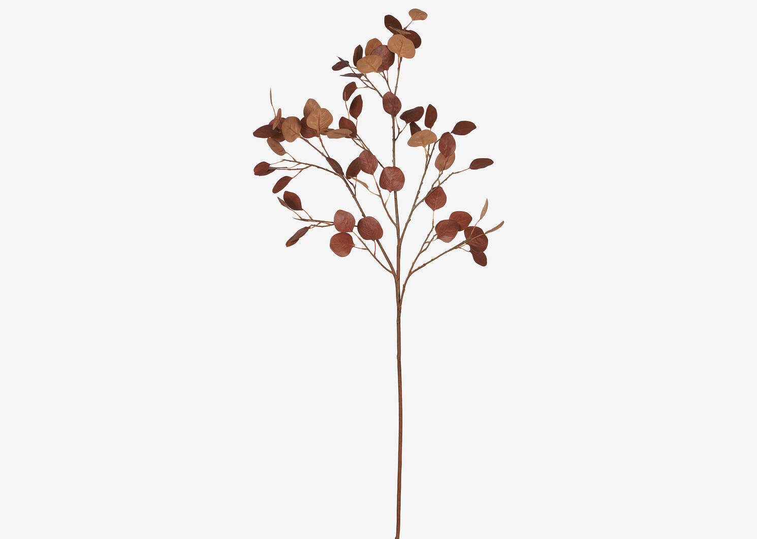 Afton Eucalyptus Branch Orange | Urban Barn