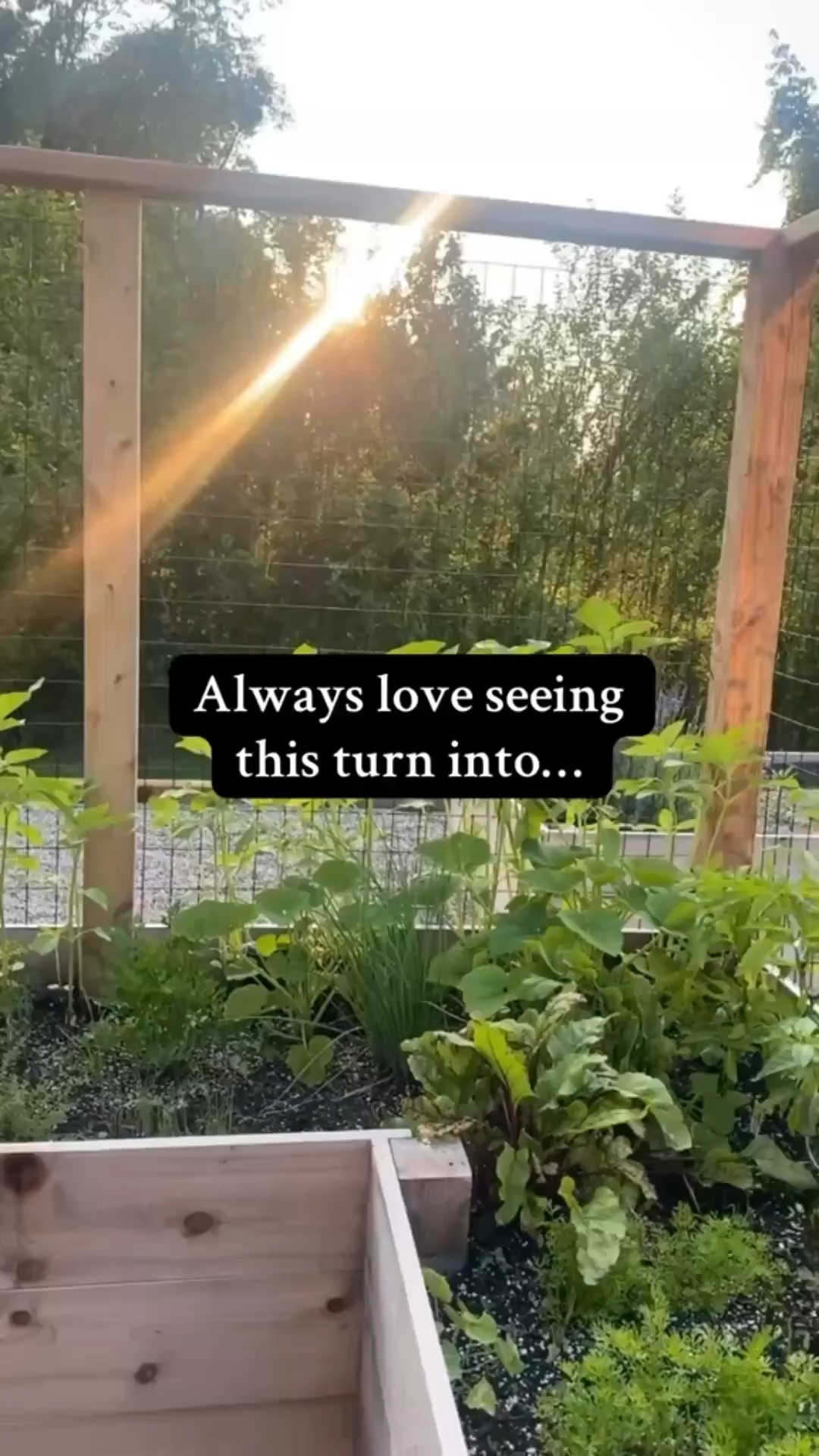 Gardening season is here! Time to start getting your beds prepped and gathering all your supplies. Linking some of my favorites!#gardentools #gardentips #gardening #homegarden #gardeningforbeginners #enclosedgardenbed #raisedgardenbed

#LTKSeasonal