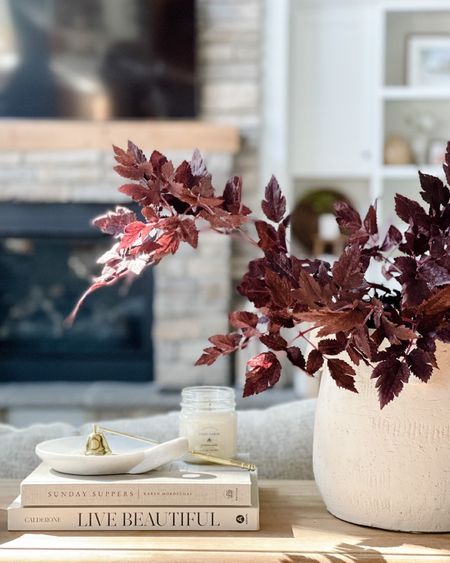 I love a good fall stem! These are still available and the perfect color for fall! Pair them with a cozy candle and some coffee books and you have yourself a great fall vignette!

#LTKhome #LTKSeasonal #LTKstyletip