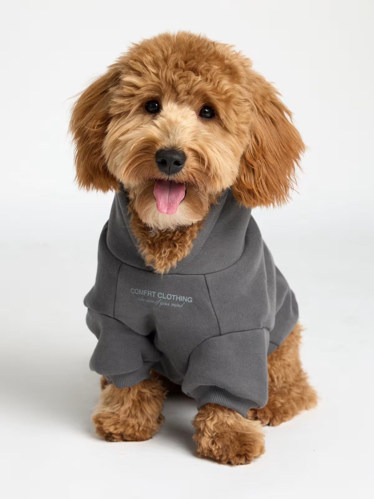 You Matter Paw Hoodie | Comfrt