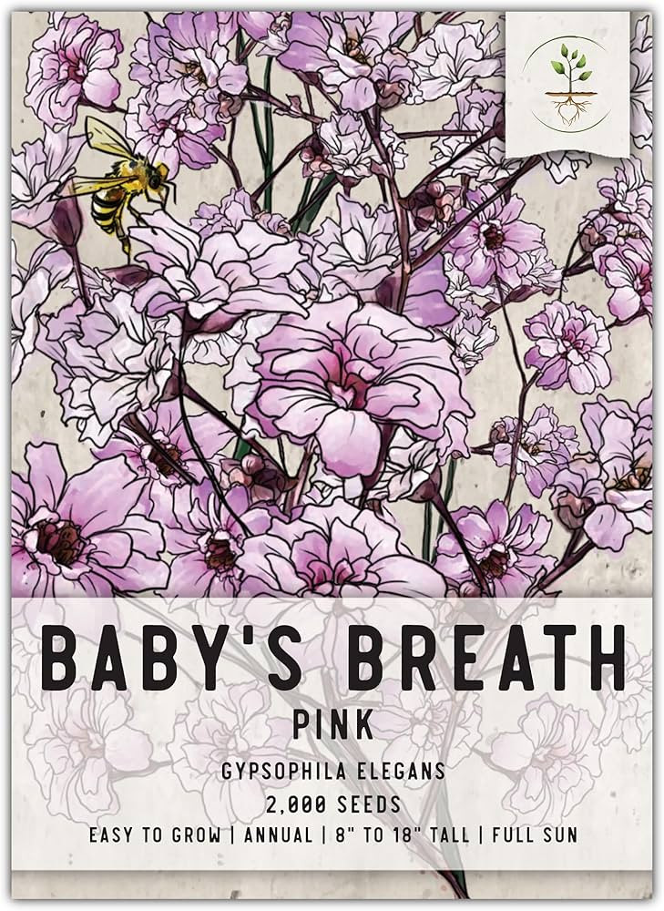 Seed Needs, Pink Baby's Breath Seeds - 2,000 Heirloom Seeds for Planting Gypsophila elegans - Tin... | Amazon (US)