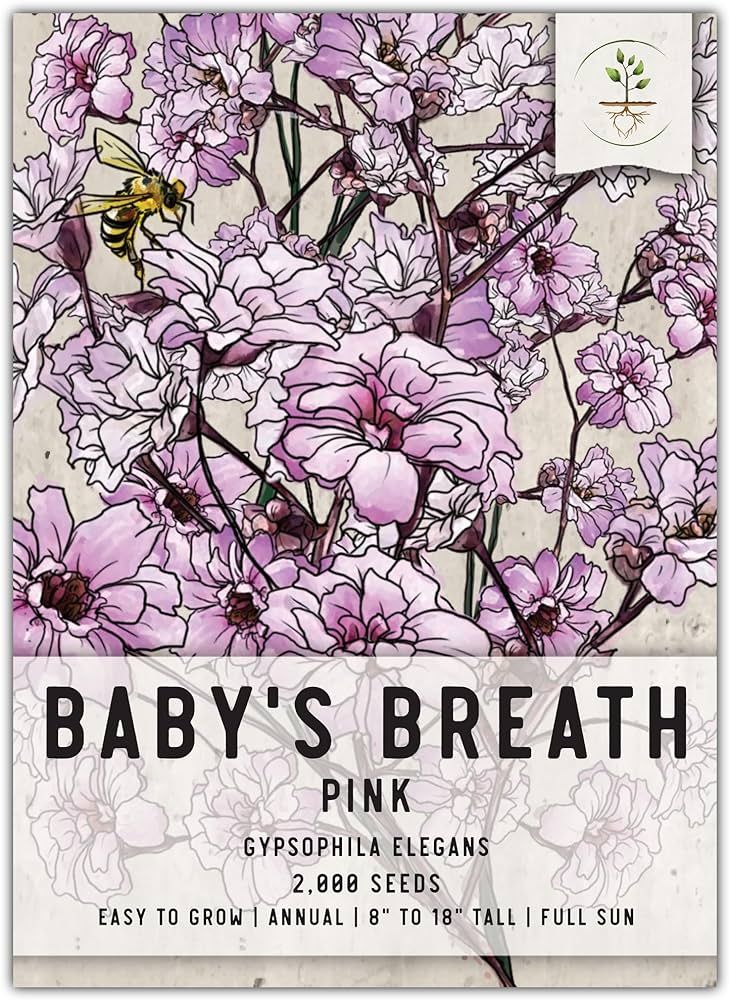 Seed Needs, Pink Baby's Breath Seeds - 2,000 Heirloom Seeds for Planting Gypsophila elegans - Tin... | Amazon (US)