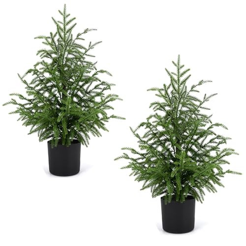ENVEN 2 Pack 24" Artificial Norfolk Pine Potted Trees – Realistic Faux Christmas Greenery for Tabletop, Mantel, Entryway & Holiday or Year-Round Home Décor | Amazon (US)