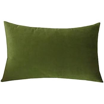 SLOW COW Velvet Solid Decorative Lumbar Throw Pillow Cover Rectangle Cushion Cover Pillow Case 12... | Amazon (US)