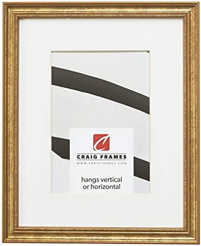 Craig Frames 314GD 11 x 14 Inch Ornate Gold Picture Frame Matted to Display an 8 x 10 Inch Photo | Amazon (US)