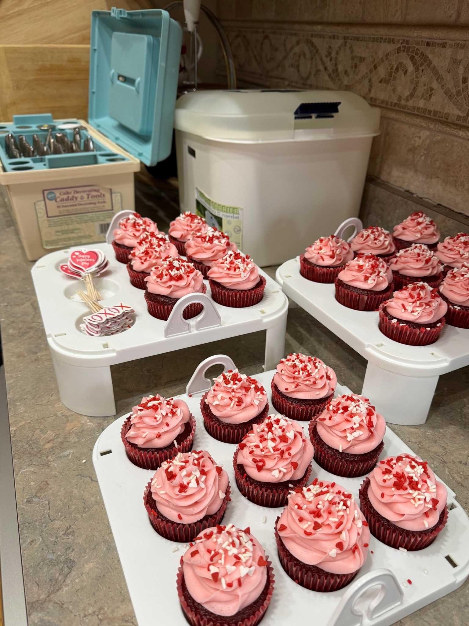 Wilton cupcakes and decorating kit  

#LTKparties #LTKhome #LTKfindsunder50