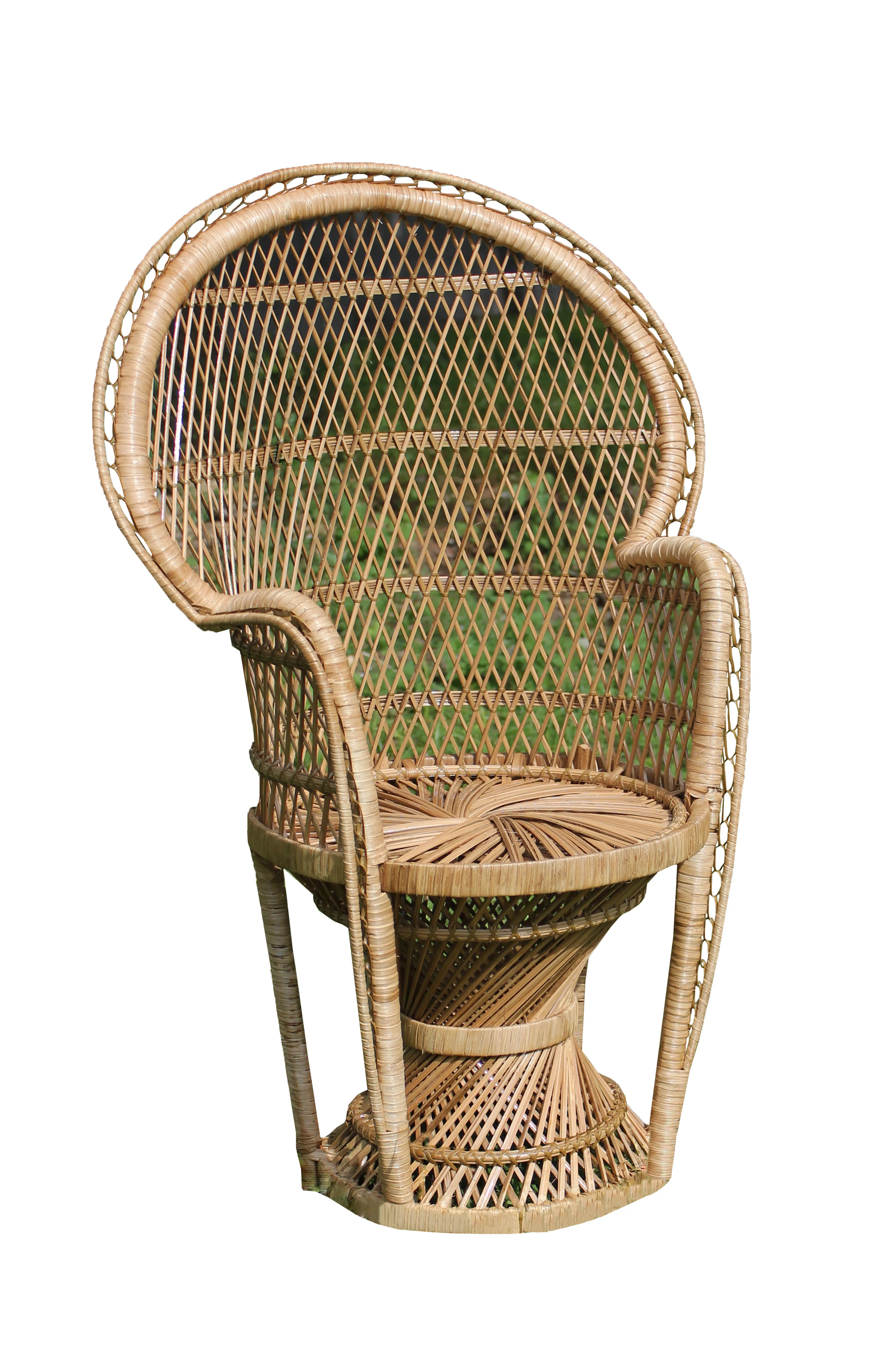 Bayou Breeze Romulus 31" Wide Armchair & Reviews | Wayfair | Wayfair North America