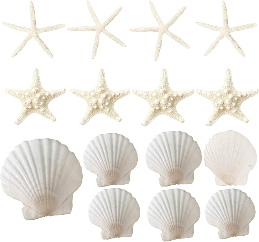 15 PCS 3-4 Inches Large Starfish 2-6 Inch Mixed Natural Scallop Shells Perfect for Wedding Decor ... | Amazon (US)