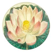 Cup Lily Plate | Jayson Home