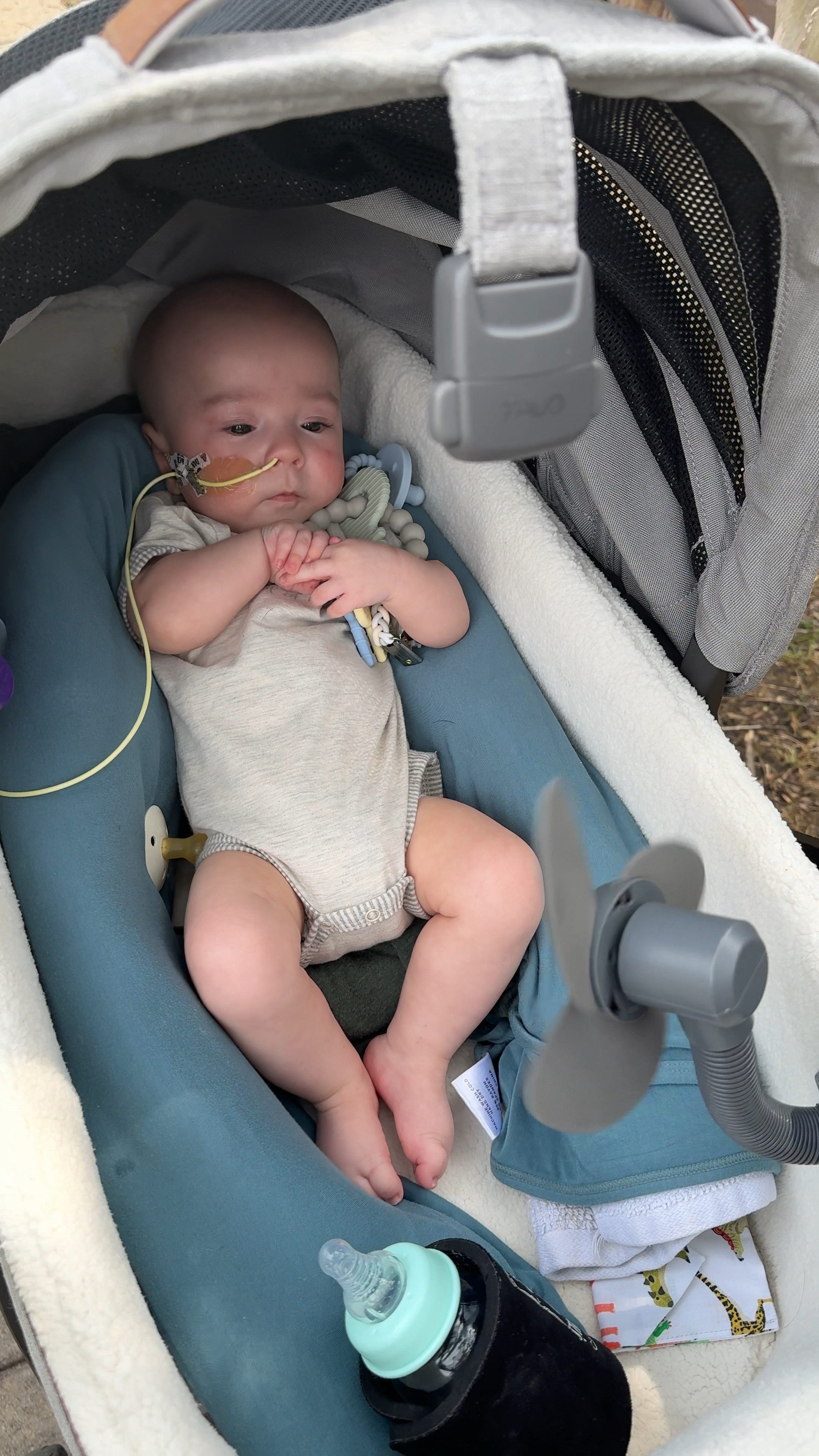 Texas heat necessity - Clip on or strap on fans perfect for your stroller, car, stationary bike, treadmill etc perfect for hot summer day 

#LTKFamily #LTKBaby #LTKSeasonal