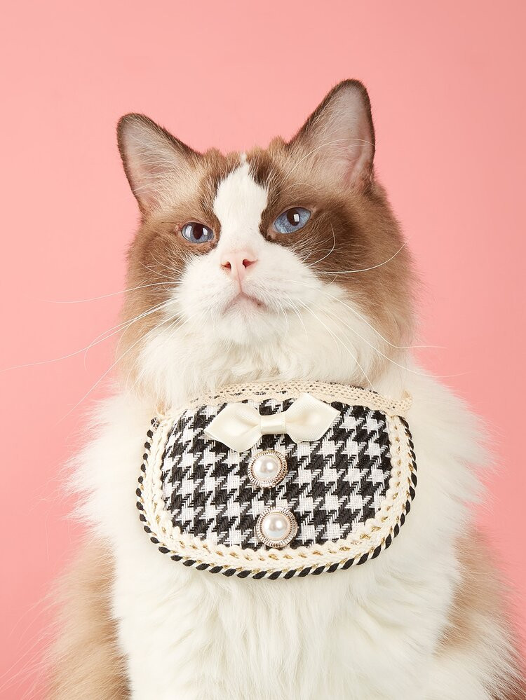 Bow Decor Pet Bib | SHEIN