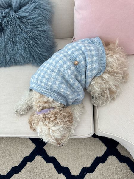 The cutest dog sweater ever & the matching cardigan for hoomans! So Charlotte York!

Dog sweater, lady jacket, cardigan, gingham, gingham sweater, blue sweater

#LTKunder100 #LTKunder50 #LTKsalealert
