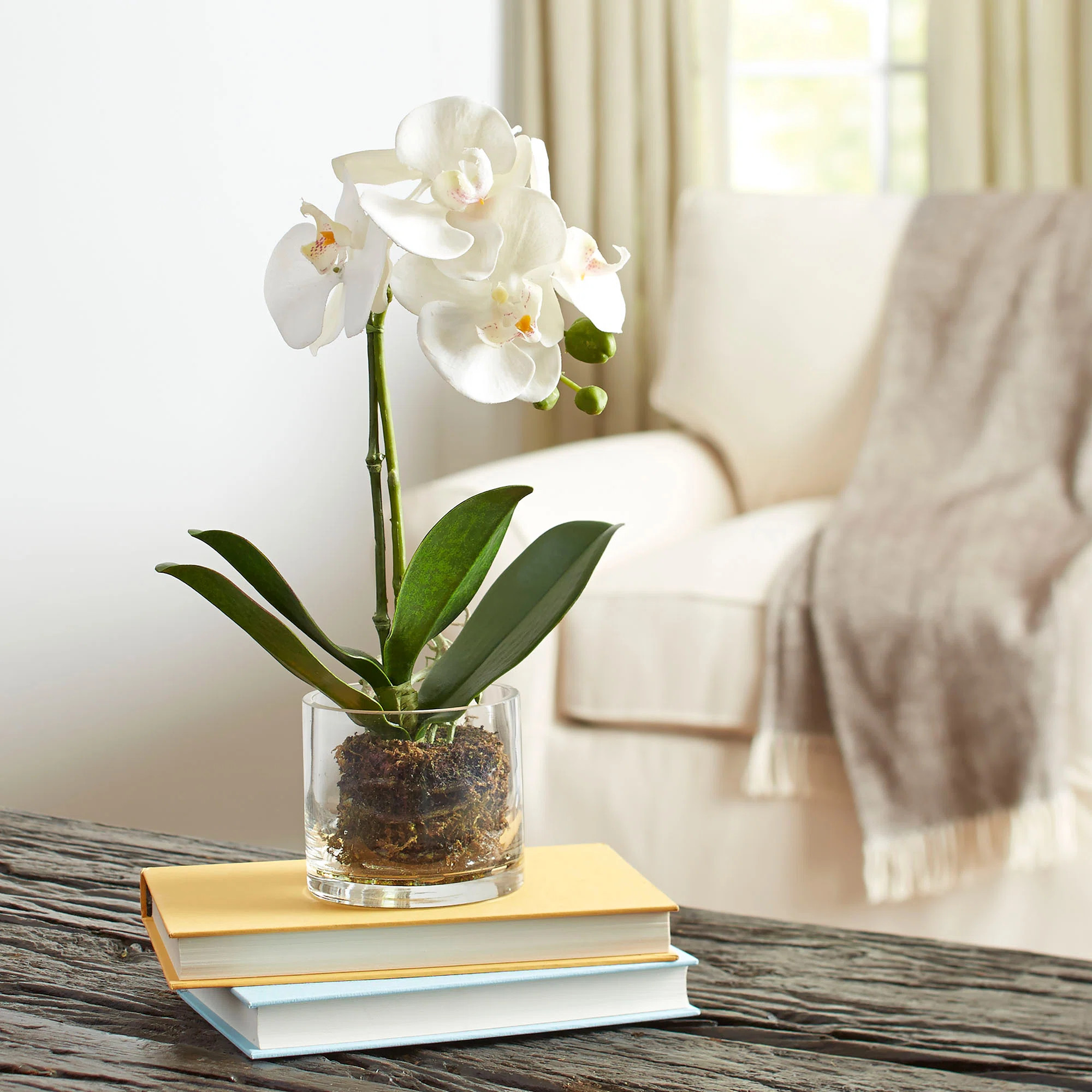 Orchid Arrangement in Vase | Wayfair North America
