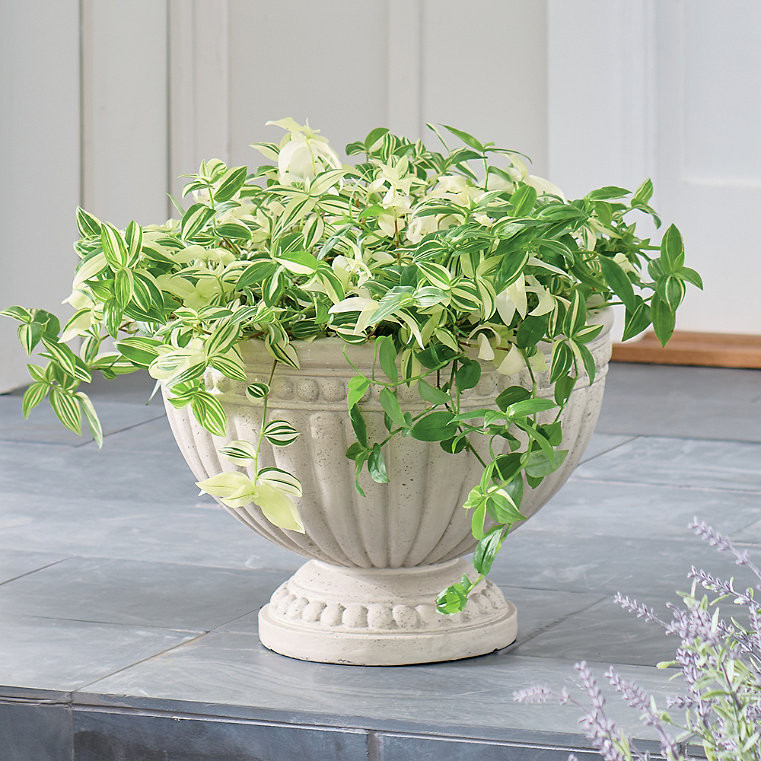Reese Bowl Planter - Grandin Road | Grandin Road